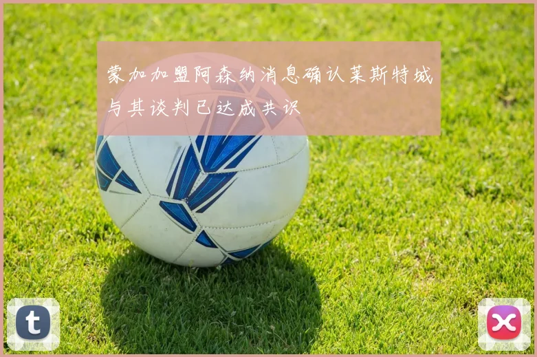 蒙加加盟阿森纳消息确认莱斯特城与其谈判已达成共识